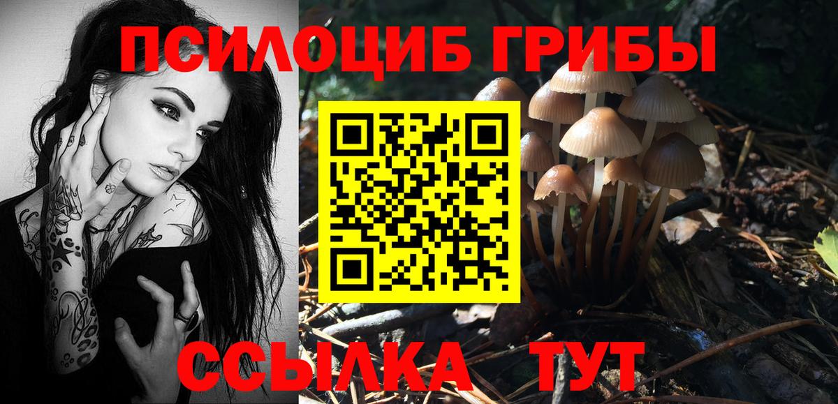 Псилоцибиновые грибы мухоморы Тихорецк